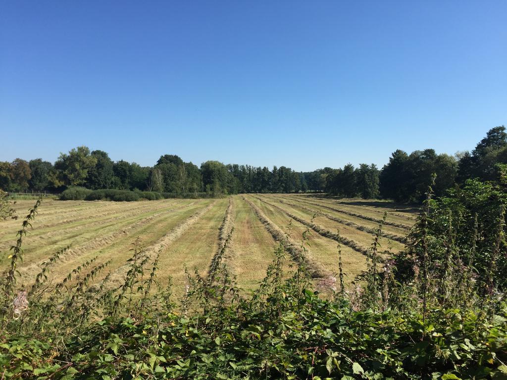 Alwine - Landhaus An Den Spreewiesen Rietz Neuendorf エクステリア 写真